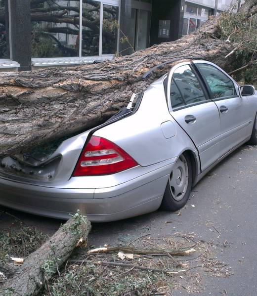 road-car-vehicle-auto-tornado-fallen-tree-837640-pxhere.com-1 road-car-vehicle-auto-tornado-fallen-tree-837640-pxhere.com-1